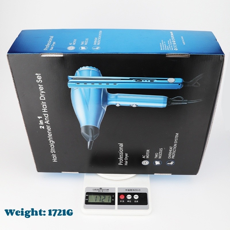 2 en 1 secador de cabello y alisador de cabello profesional de alta potencia 2200W Set regalo de cuidado del cabello